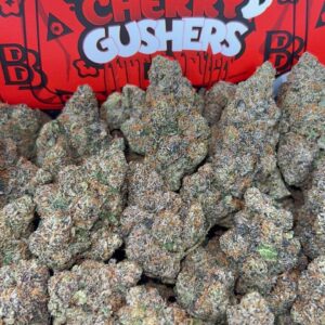 BLACK CHERRY GUSHERS