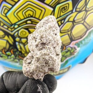 ALOHA GOLD (Snow Capz)